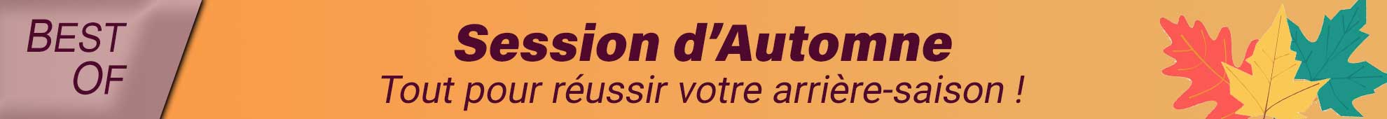 Session d'Automne - Sélection spéciale pour la pêche à la carpe en automne