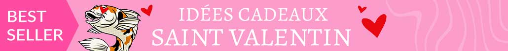 Offres Saint-Valentin - Idées cadeaux pour pêcheurs à la carpe