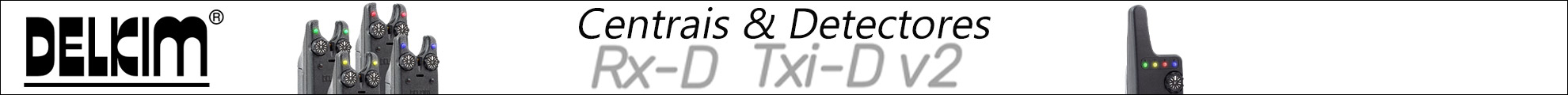 Detecteur et Centrale Delkim TXI-D v2