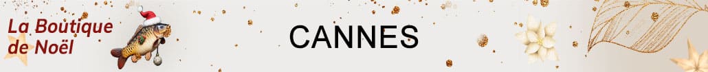 La Boutique de Noël - Cannes de pêche à la carpe