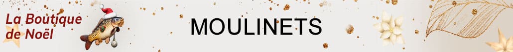 La Boutique de Noël - Moulinets de pêche à la carpe