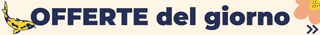Le offerte del giorno