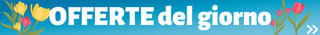 Le offerte del giorno