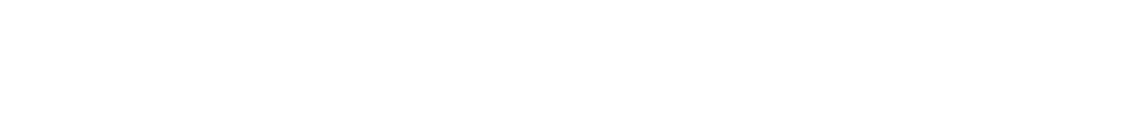 VF Elettronica