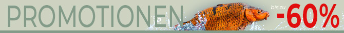 Sonderangebote