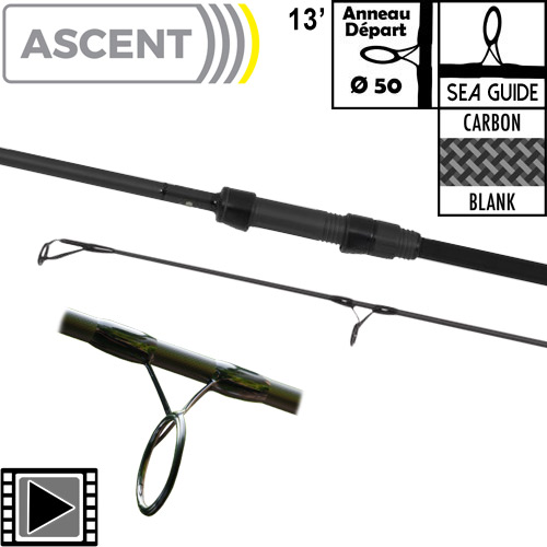 Canne Avid Carp Ascent 50mm 13' 4lbs Full Shrink