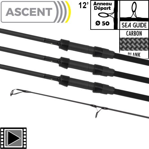 Canne Avid Carp Ascent 50mm 12' 4lbs Full Shrink (les 3)