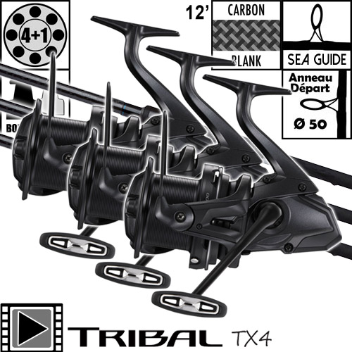 Ensemble Shimano TX-4A Carp 50mm 12' 3.5lbs Ultegra 14000 XTE (les 3)