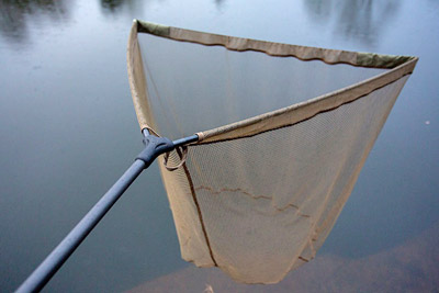 Pack No Kill Trakker Sanctuary 3 Pièces 15 Pack No Kill Trakker Sanctuary 3 Pièces -Balanciers Soldes 014a270d71f663106b80669505f81bc7cf38c7e9 14