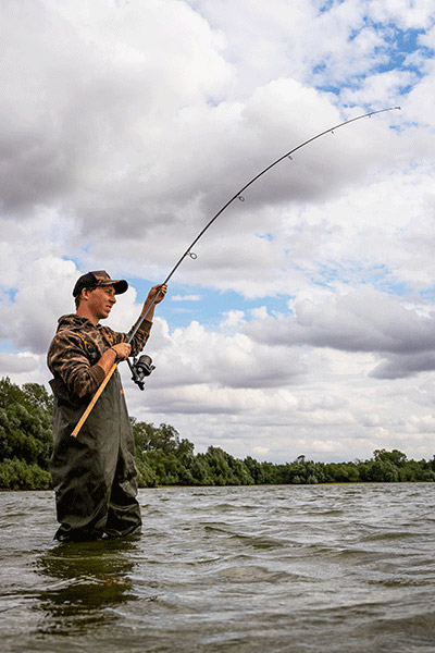 Canne Fox Horizon X4 50mm 12' 3lbs Full Cork 9 Canne Fox Horizon X4 50mm 12' 3lbs Full Cork -PROLO Magasin 1b08319f4ccf84ecc57036d0b27fcce1727d3765 251438 4