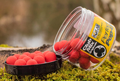 Pack Appâts Solar Club Mix (Squid & Octopus) -DYNAMITE BAITS 260d62af4fc6054570b6b5b203f0cc435da0d86b 243213amb