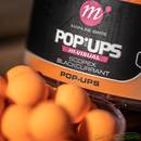 mainline-limited-edition-hi-visual-scopex-black-currant-pop-ups-15mm-250ml