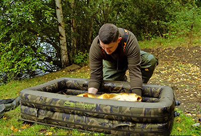 Tapis De Réception Carpmaster - FOX