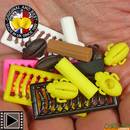 insecte-entreprise-tackle-zig-beetles-par-6