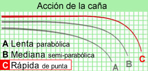 Caña