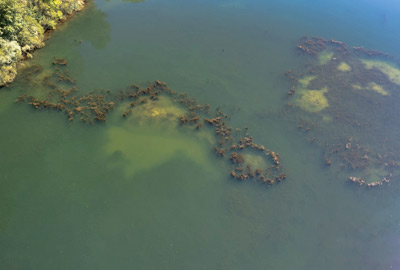 Back Lead Prowess (par 2) - description 04