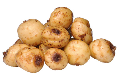 Graines Carp Zoom Tigernuts 1kg - description 01