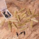 clip-plomo-extra-carp-lead-clip-swivels-por-10