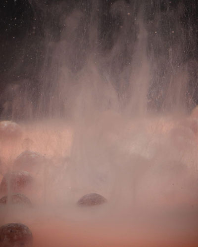 Attrayente Mainline Smart Liquid Hot Chili 250ml - description 05