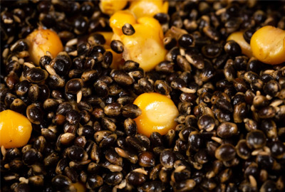 Graines Mainline Power Plus Particules Hemp'N'Maize 3kg -DYNAMITE BAITS 724de0f235f3d193aacb9c1c64470b7fd49c3ebd 243279amb4