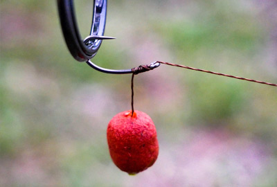 Pop Ups & Dumbells Dynamite Baits Fluoro Robin Red 15mm 75g 3 Pop Ups & Dumbells Dynamite Baits Fluoro Robin Red 15mm 75g -DYNAMITE BAITS 7cc9a4bbd3f0628f4ebd3a970609986a0c6d2d5c FluoRRamb2