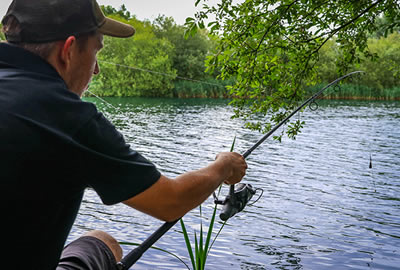 Ensemble Fox Explorer 8-10' EOS Pro 10000 (les 3) -Fox || PROLOGIC Soldes Magasin 7d36adeb330ac2edf8c7599791fc83506609e10a 8