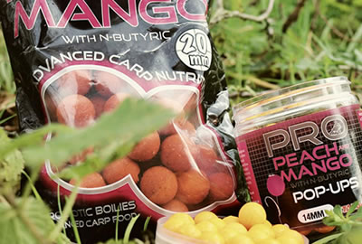 Bouillettes Starbaits Probiotic Peach & Mango 14mm 1kg -DYNAMITE BAITS 8555ae720cca7fb5d8658a15bf2756822e39ffd7 243231amb2