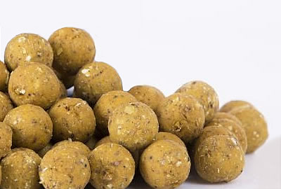 Bouillettes Nash I.A. Candy Nut Crush 20mm 1kg -DYNAMITE BAITS 8a4de4d6dbda0377b90bd3f2cdd01b2c744b70a4 242758 amb1