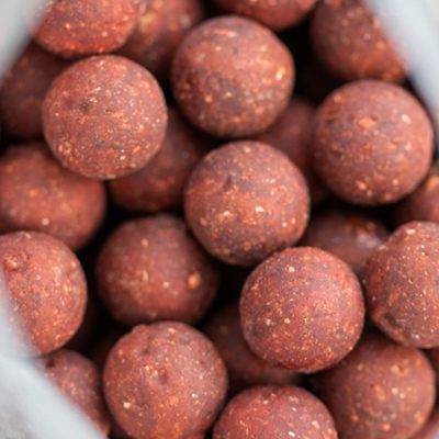 Bouillettes Big Carp Maple Spice 1kg 20mm - description 02