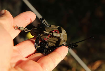 Plomb à Sonder Fox Grappling Marker Lead (par 2) -Hameçons Soldes Boutique 9157ba0c873da6da19aaa4a032ad0b593b2dcb0b 208638 amb1