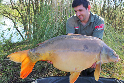 Pop Up Starbaits Probiotic Scopex Krill 14mm 60g -DYNAMITE BAITS 9484d0ed063c72c7823c981dbf4147d43519383c 243110 amb