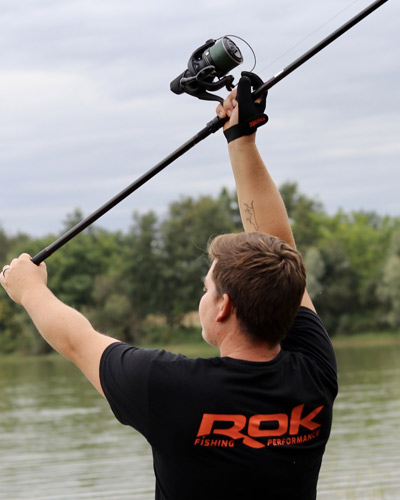 Rok