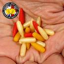 enterprise-tackle-mix-larve-galleggianti-per-20
