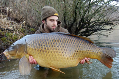 Booster Starbaits Perf Concept RS1 200ml -DYNAMITE BAITS aa4088440db7d4e17c8adfe14af593733c0449bc 241174b