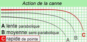 Ensemble Prologic C2 Element 12' T-Rex 7000 (les 3) -PROLO Magasin b6b36da7c121765672acf84476d7dd1a12cf003b rapide