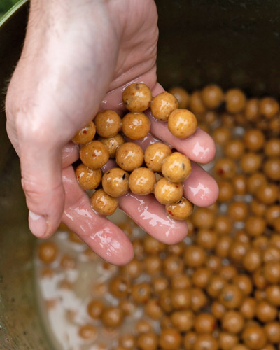 Pack Appâts Dynamite Baits Peppered Fruit - description 06