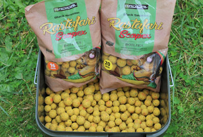 Bouillettes Radical Rastafari Scopex 16mm 1kg -DYNAMITE BAITS b9f601915d64c6cba36c1fd9e7d0a9b5c115ff75 rasta