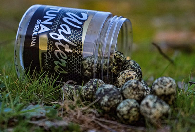 Bouillettes Equilibrées + Dumbells Pro Elite Baits Gold Tuna Spirulina 14mm 110g 2 Bouillettes Equilibrées + Dumbells Pro Elite Baits Gold Tuna Spirulina 14mm 110g -DYNAMITE BAITS bc47e414bb72ec2fb247bcc156cad03448456d3f 243850amb1