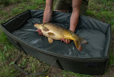 Nash Tackle Pack No Kill Nash 4 Pièces 4 Nash Tackle Pack No Kill Nash 4 Pièces -Balanciers Soldes c03094977e329ae720d4a08af0a7df28766c157c 10 2