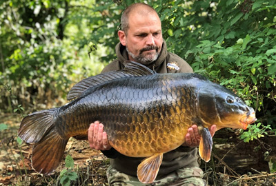 Boilies