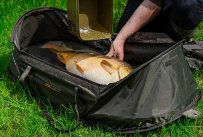 Pack No Kill Fox Explorer 3 Pièces -Hameçon Pro Soldes Magasin ce13fe46b13b05ef3130951a23953f95b74afb66 212756amb2