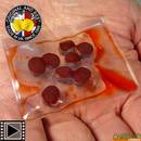 enterprise-tackle-pellet-belachan-flottant-8mm-le-8