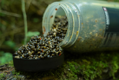 Graines CC Moore Intense Chili Hemp Fresh Range 2.5L 4 Graines CC Moore Intense Chili Hemp Fresh Range 2.5L -DYNAMITE BAITS ed5b66c993a37054b18cf7590fc47ff5635d780b 243290amb3