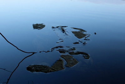 Sac à Carpe Prowess Initia Zip Carp Sack - description 03