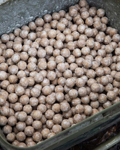 Attractant Mainline Smart Liquid Garlic 250ml - description 04