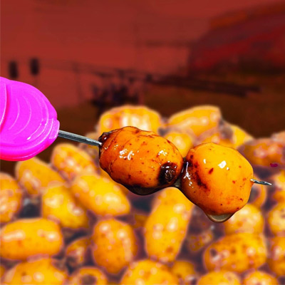 Graines Dynamite Frienzed Tiger Betaine & Molasses 2.5L - description 01