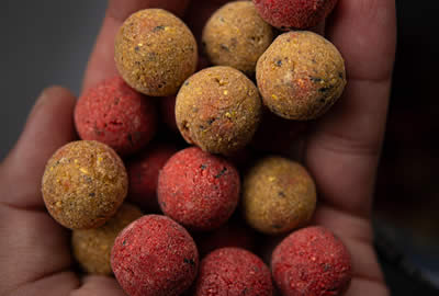 Bouillettes