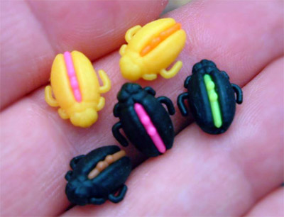 Insecte
