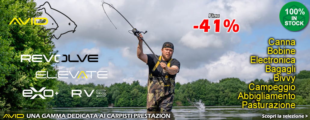 Avid Carp