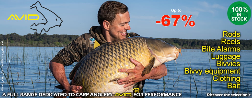 Avid Carp